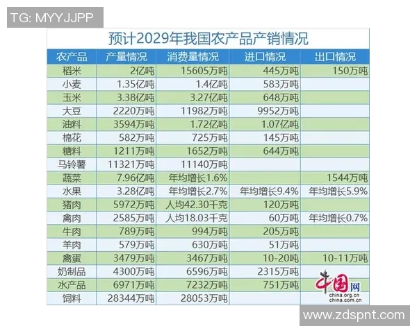 北京排球队反击策略分析与未来发展展望