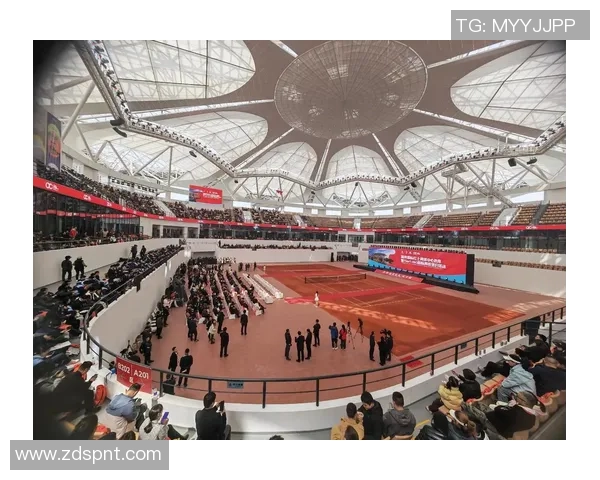 全运会回顾：杭州网球队个人能力的精彩展现与未来展望